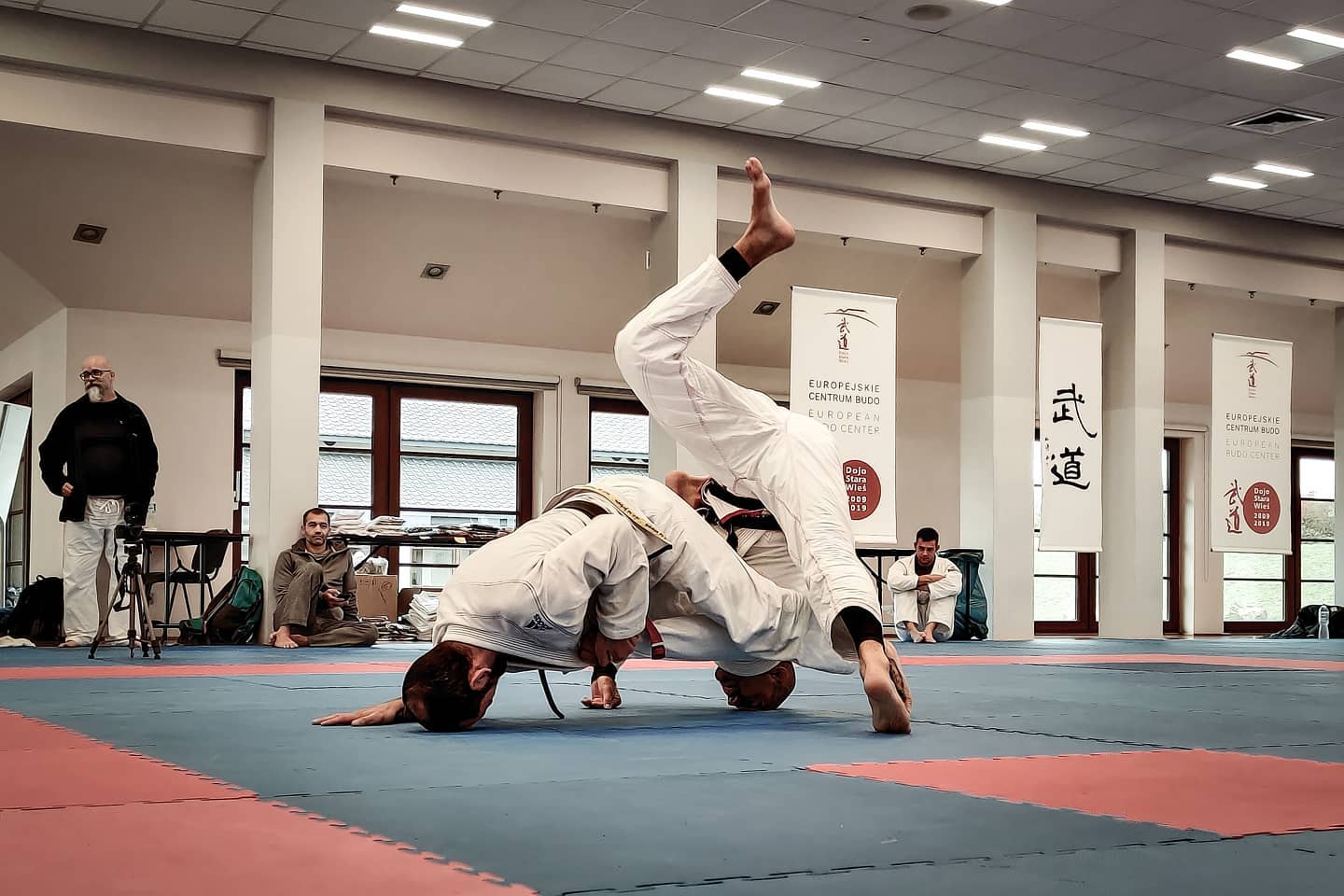 Wim Deputter defending a sweep by planting his head, sweeps don't work, unsweepable, sweep defense , the mirroring principle, BJJ Globetrotters Zen Camp 2020, become unsweepable