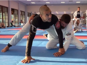 True fundamentals of jiu jitsu Wim Deputter BJJ Fundamentals